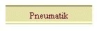 Pneumatik