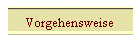 Vorgehensweise